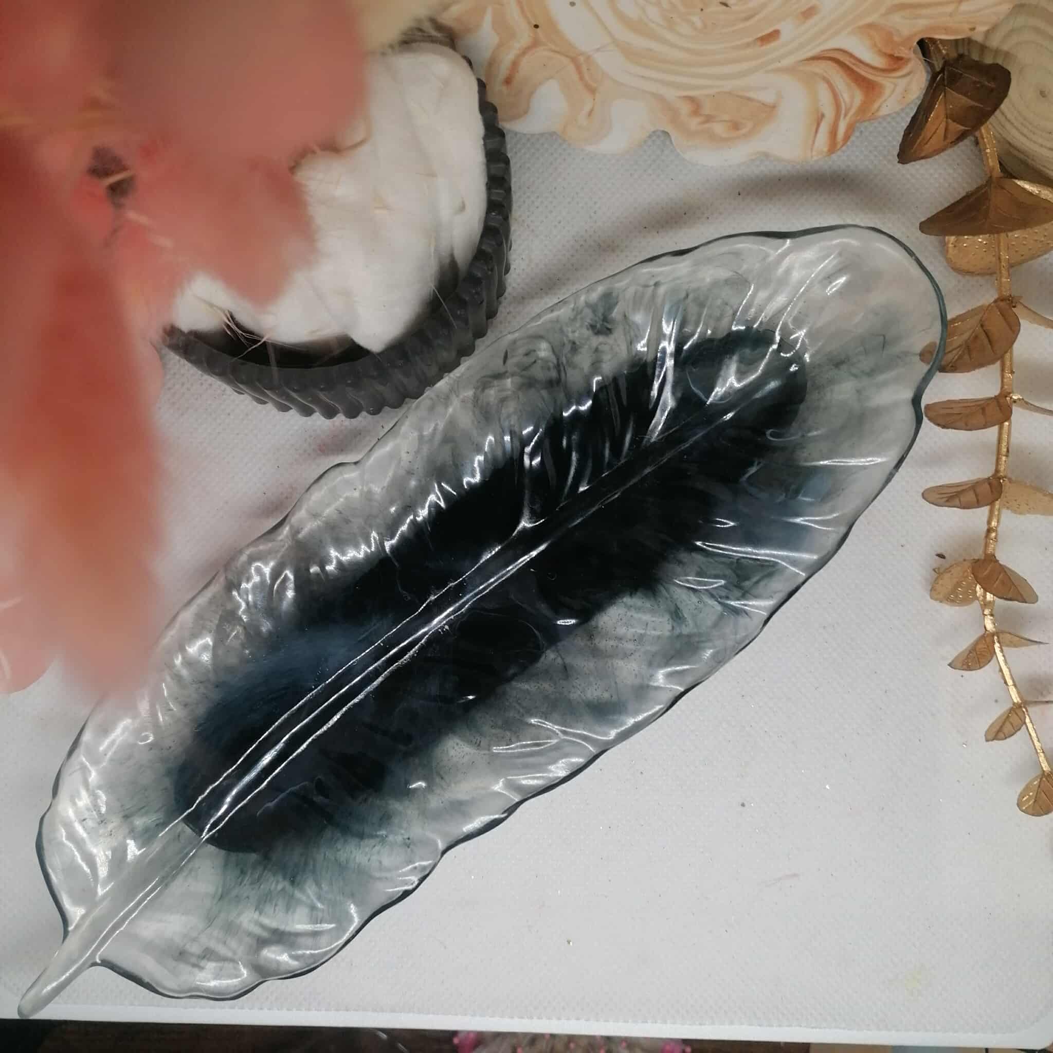 Vide poche "Plume"