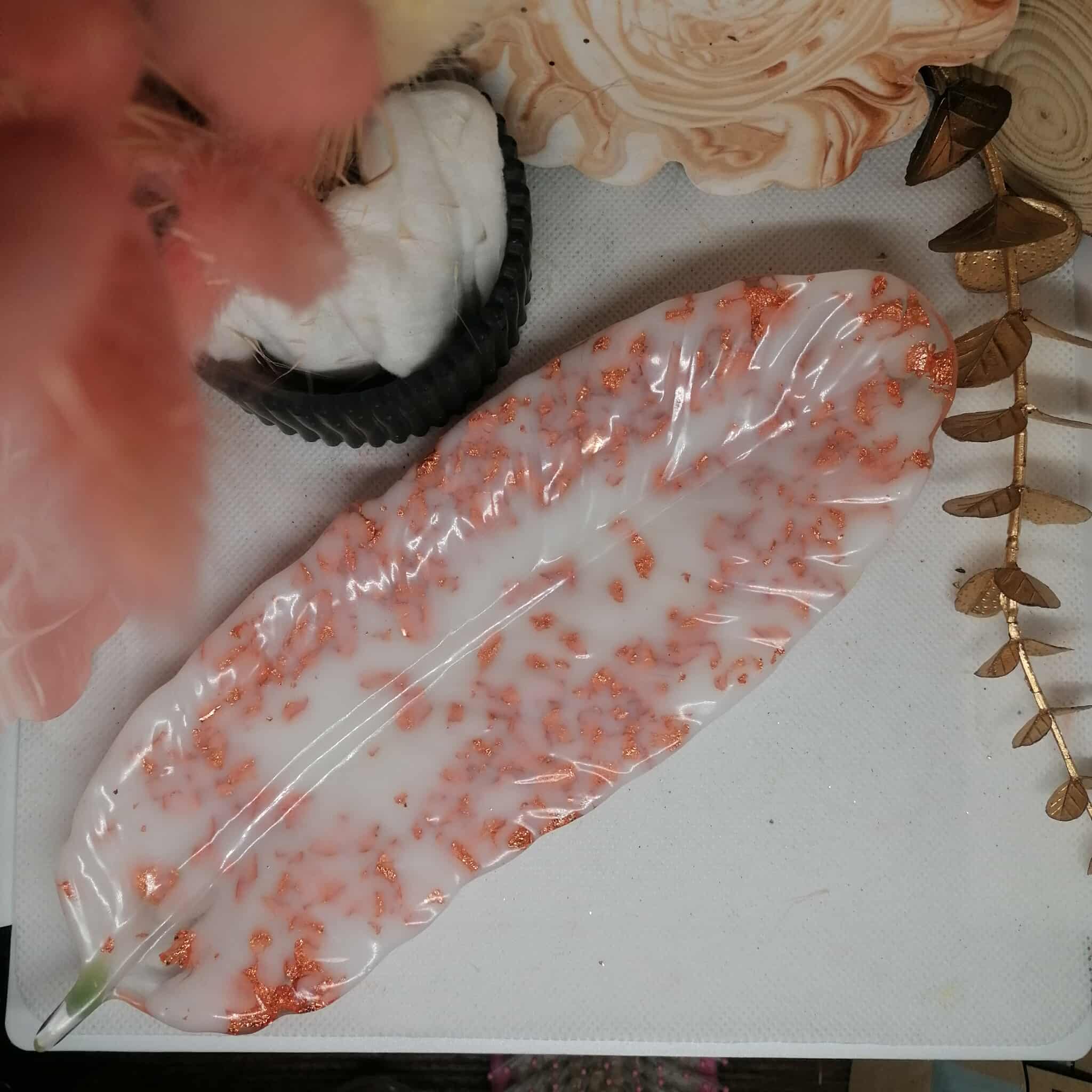 Vide poche "Plume"
